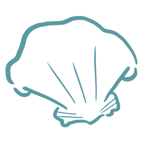A simple blue seashell icon with clean lines.