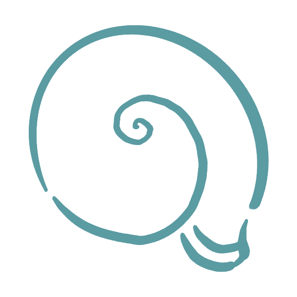 A turquoise spiral resembling a stylized snail shell on a white background.